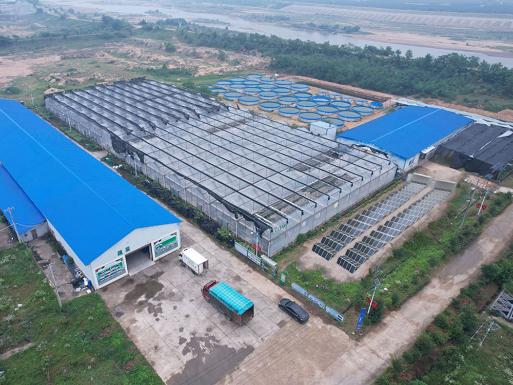 Solar Power Containers for Ibinigay ng sarili ang power supply